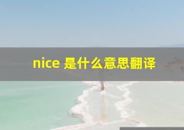 nice 是什么意思翻译